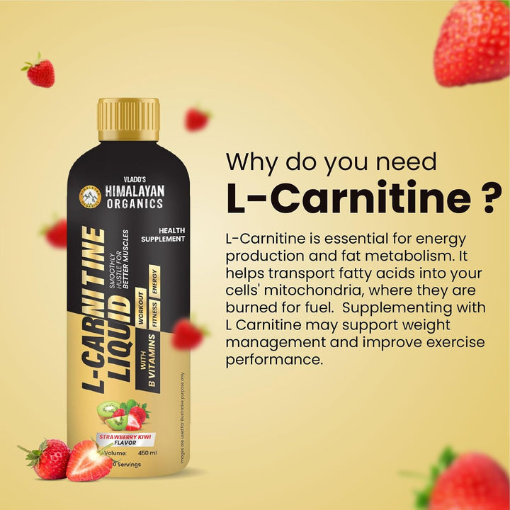 Vlado's Himalayan Organics L Carnitine Liquid 3000 mg I with Vitamin B3, B5, B6 I Pre Workout, Intra Workout & Post Workout Supplement I | Break fat cells for Healthy Weight Loss | 5X Strength | For Men & Women I 30 Servings Strawberry Flavor - 450 ML
