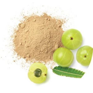 Amla Powder