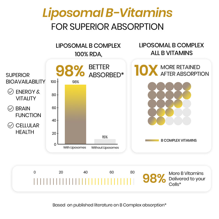 Vlado’s Himalayan Organics Liposomal Vitamin B Complex with 100% RDA B1, B2, B3, B5, B6, B9 & B12 | Hair Growth, Boost Energy And Immunity (60 Capsules)