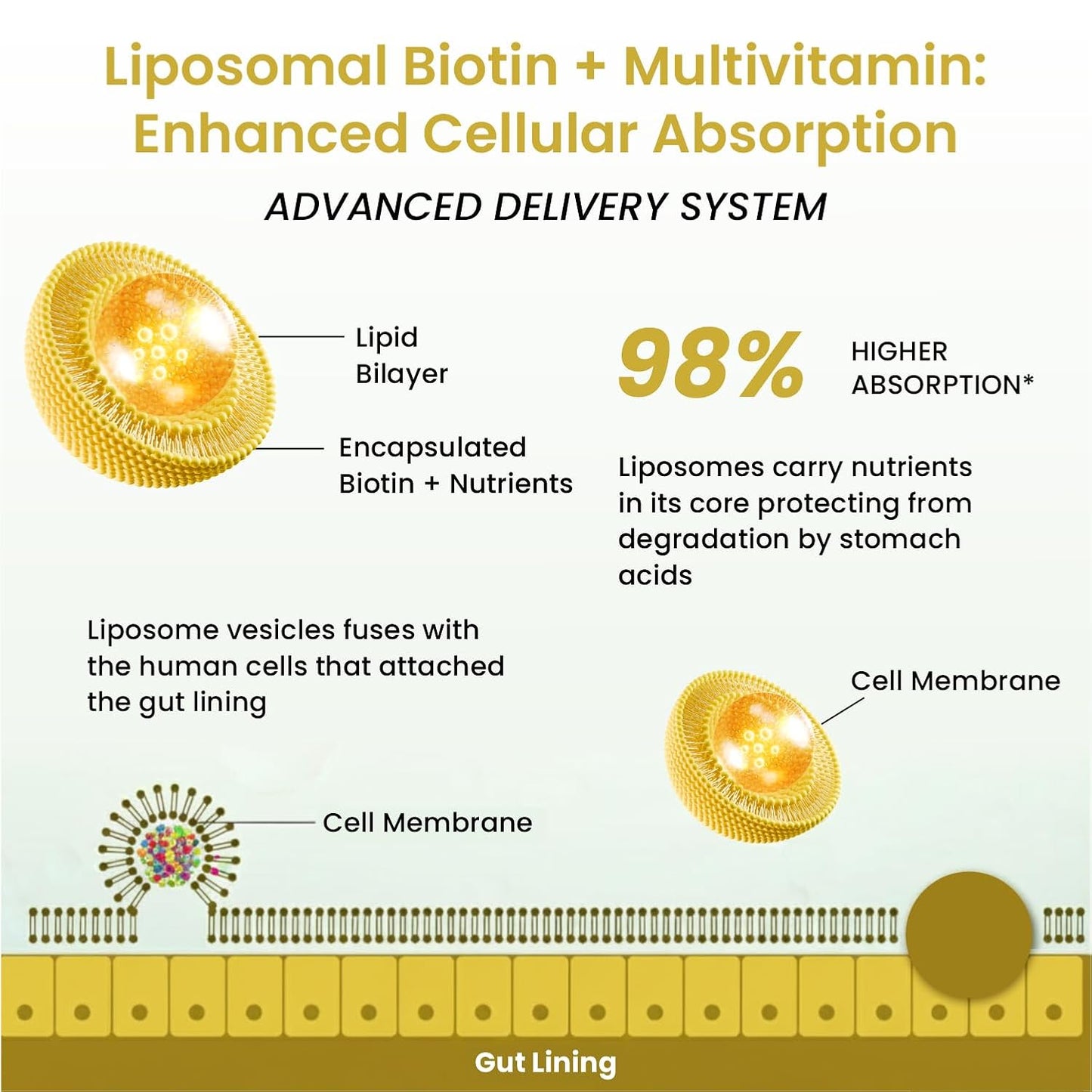 Vlado’s Himalayan Organic Liposomal Biotin 10000 MCG Supplement For Men And Women With Amino Acids+Multivitamin+Multimineral For Healthy Hair, Skin & Nails -120 Vegetarian Tablets