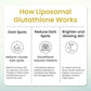 Vlado's Himalayan Organics Liposomal Glutathione 650 mg+ Advanced Liposomal Formula with N-Acetyl L-Cysteine , Vitamin C & B12 - Cellular & Face Health - Helps in Skin Hydration & Skin Glow - Liver Health & Detoxification Support - 30 Veg Capsules