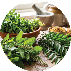 Holy Basil, Curry Leaves & Fenugreek