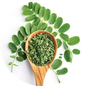 Moringa Extract
