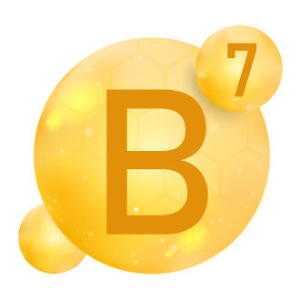 Biotin (Vitamin B7)