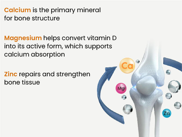 Essential Minerals for Bone Health