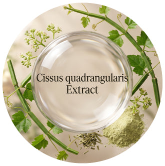 Cissus quadrangularis Extract