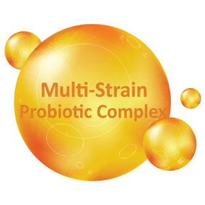 Multi-Strain Probiotic Complex