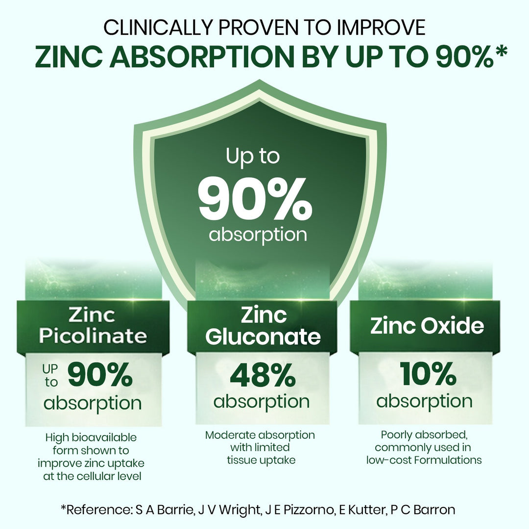 Vlado's Himalayan Organics Zinc Picolinate with Vitamin C & Copper | Zinc Supplements for Men with 100% RDA Zinc | Immunity & Cellular Health Support – 120 capsules