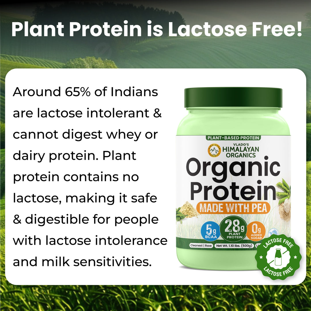 Vlado's Himalayan Organics Organic Protein ( Made with Pea ) - 500G