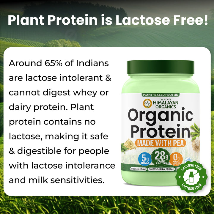 Vlado's Himalayan Organics Organic Protein ( Made with Pea ) - 500G