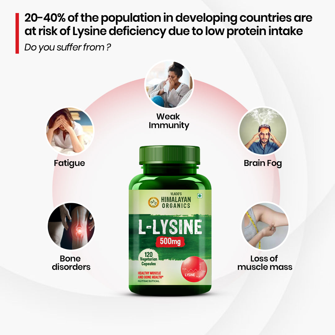 Vlado’s Himalayan Organics L-Lysine 500mg Essential Amino Acid | Supports Heart Health | Boosts Immunity | Improve Bone Health- 120 Veg Capsules
