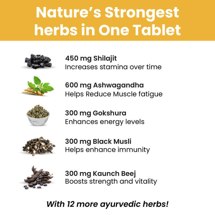 Vlado's Himalayan Organics Testosterone Booster for Men – 2800mg | With Ashwagandha, Shilajit, Kaunch Beej, Musli, Gokshura, Ginseng, Gold Bhasma & 17+ Ayurvedic Herbs | Boost Strength, Stamina, Energy & Muscle Growth - 90 Veg Tablets