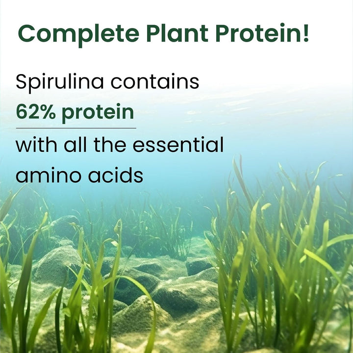 Vlado's Himalayan Organics Spirulina Powder (100g) | For Men & Women | Contains 62% Protein I Natural Superfood | Rich in Protein, Vitamins & Minerals | Boost Energy & Immunity | Support Digestion & Skin health