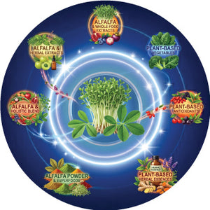 Plant-Based Fruits, Vegetables & Herbs