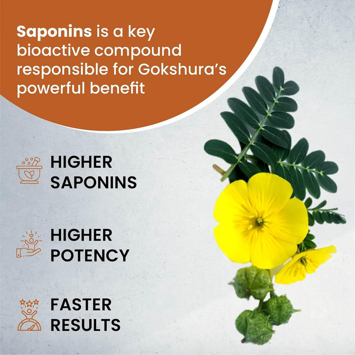 Vlado's Himalayan Organics - Organic Gokshura Tablets - 1000mg Gokhru / Serving -  Tribulus Terrestris for Men & Women | Improves Energy, Muscle Strength, Stamina & Supports Recovery