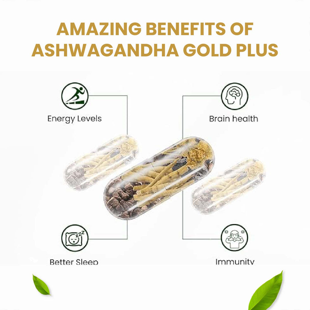 Vlado's Himalayan Organics Ashwagandha Gold | Supports Strength, Energy & Immunity | 60 Veg Capsules