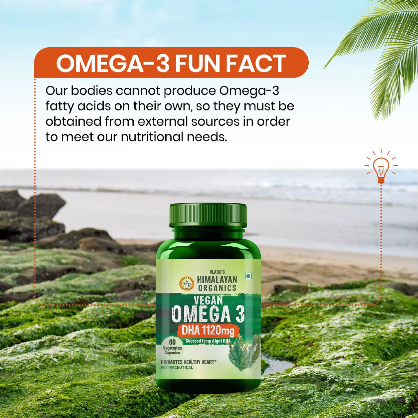 Vlado's Himalayan Organics Vegan Omega 3 - 1120 MG Supplement | 3X Strength | Veg DHA | Vegetarian Omega 3 | Algal DHA | Plant Based | No Fish oil Used I Healthy Heart, Joints & Eyes I Omega Capsules for Men & Women- 60 Veg Capsules