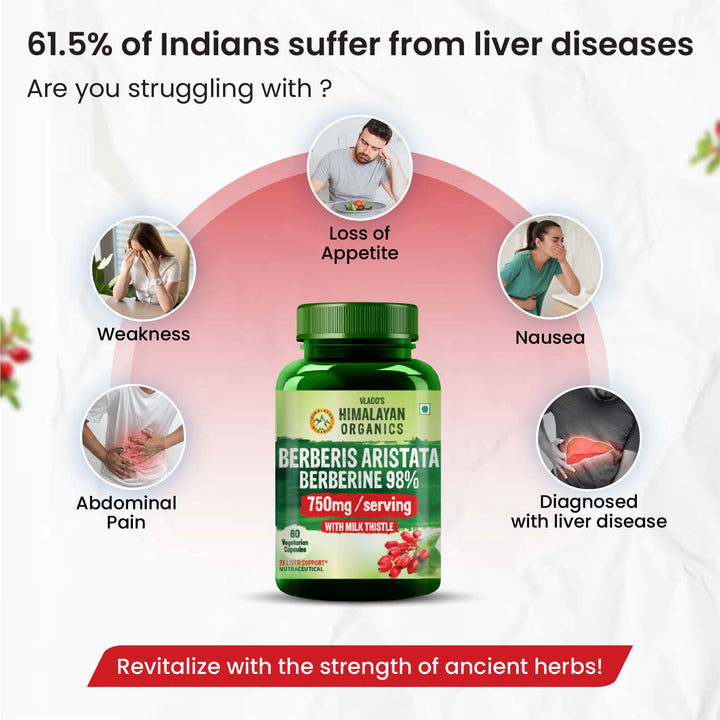 Vlado's Himalayan Organics Berberis Aristata Berberine 98% with Milk Thistle for 2X Liver Support - 60 Capsules