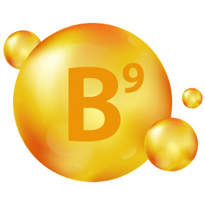 Folate (Vitamin B9)