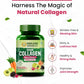 Himalayan Organics Vegan Collagen 2000Mg With Biotin And Vitamin C  (100 Tablets)