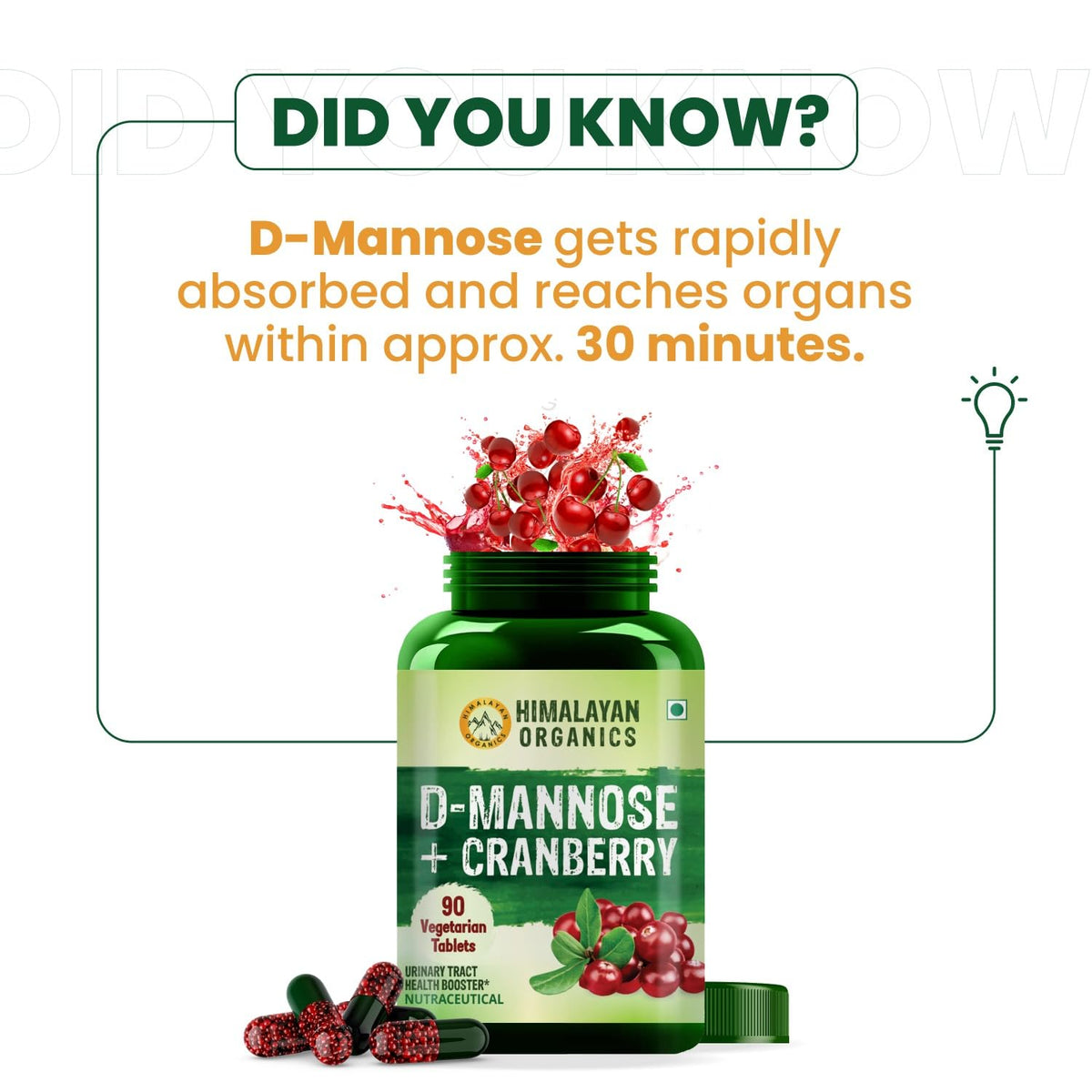 Best Antioxidant Supplement with D-MANNOSE+CRANBERRY for Kidney Health ...