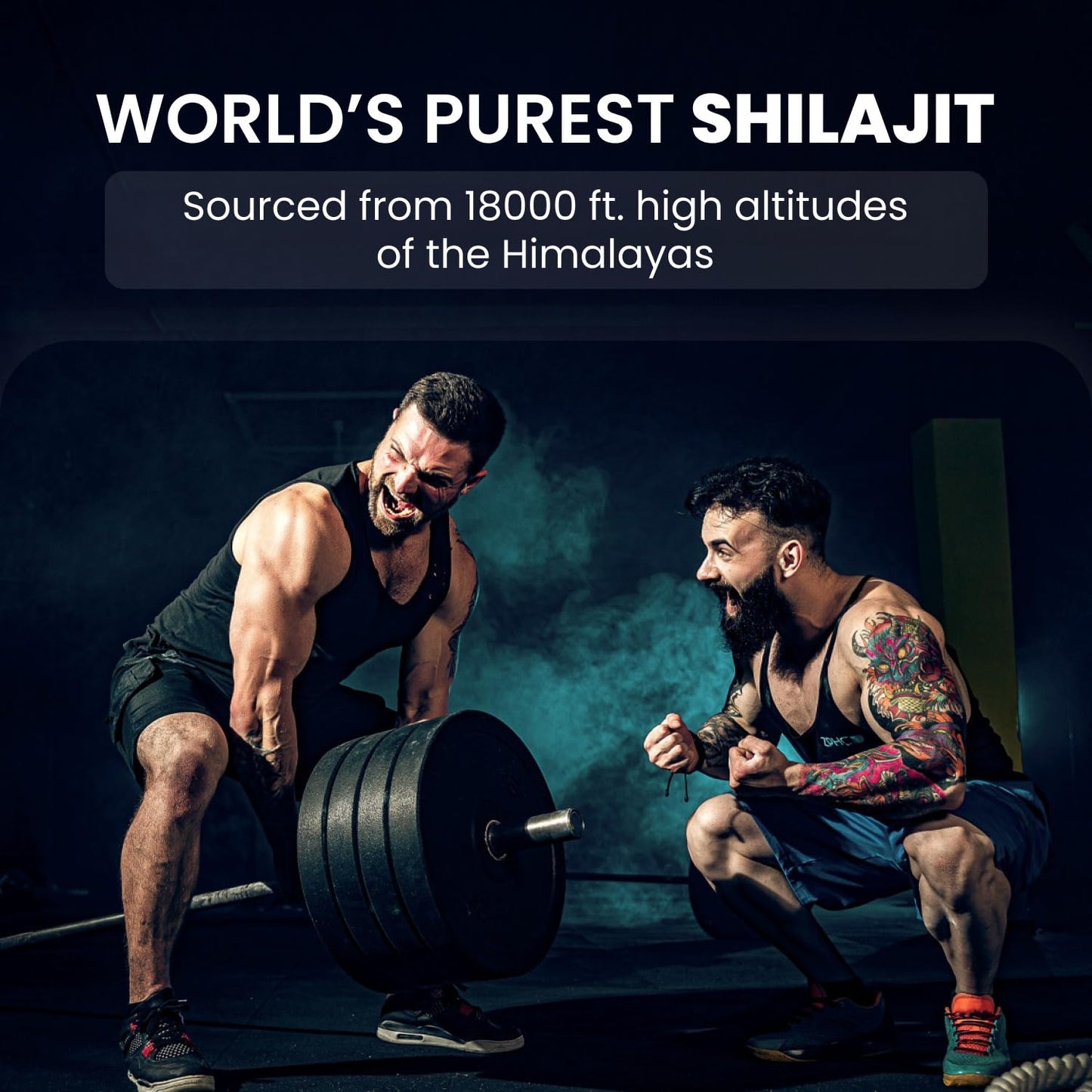 Himalayan Organics Pure Shilajit Resin to Boost Performance,Power, Stamina, Endurance, Strength With Fulvic Acid & 85+ Trace Minerals Complex for Energy,Maximum Potency I - 25g