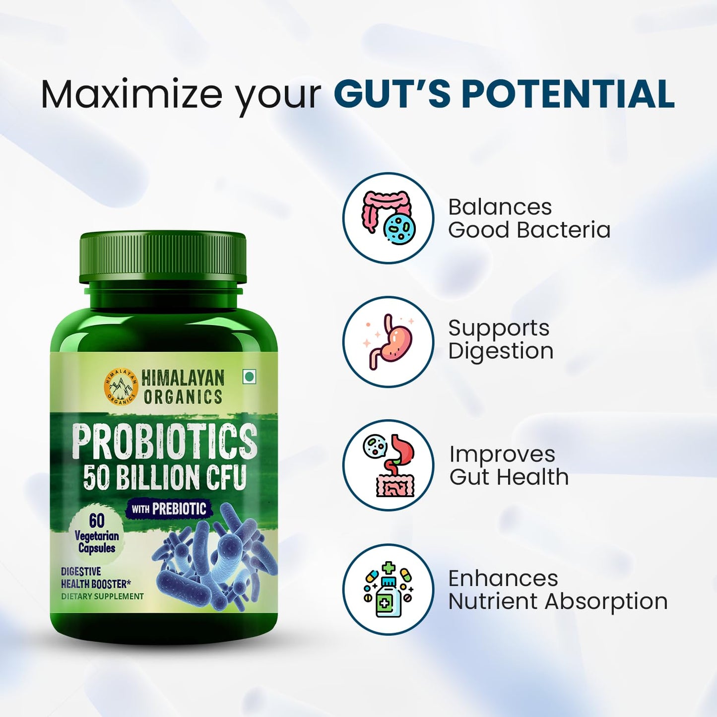 Gut Health Supplement For Men And Women