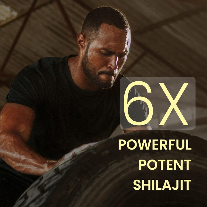 Vlado's Himalayan Organics Himalayan Shilajit/Shilajeet Resin Original & Premium Quality 20g