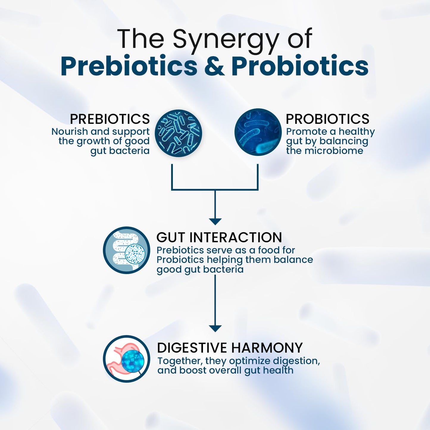 Himalayan Organics Probiotics Supplement 50 billion CFU with Prebiotics 150mg for Digestion, Gut Health & Immunity - 60 Veg Capsules