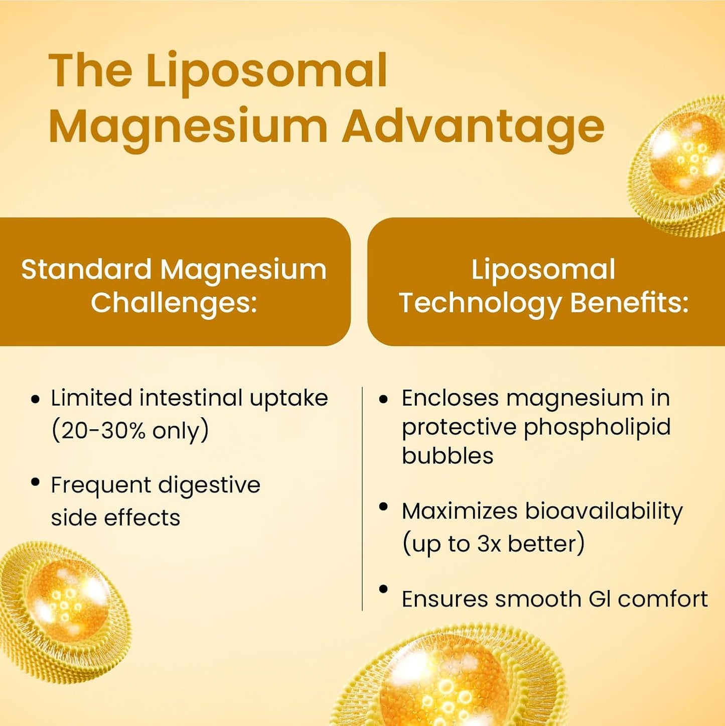 Vlado's Himalayan Organics 5X Strength Liposomal Magnesium Supplement - 2100mg+ with Chelated Magnesium Glycinate | For Sleep, Cramps, Recovery, Nerve & Muscle Function, Clinically Proven, 100% RDA - 120 Tablets