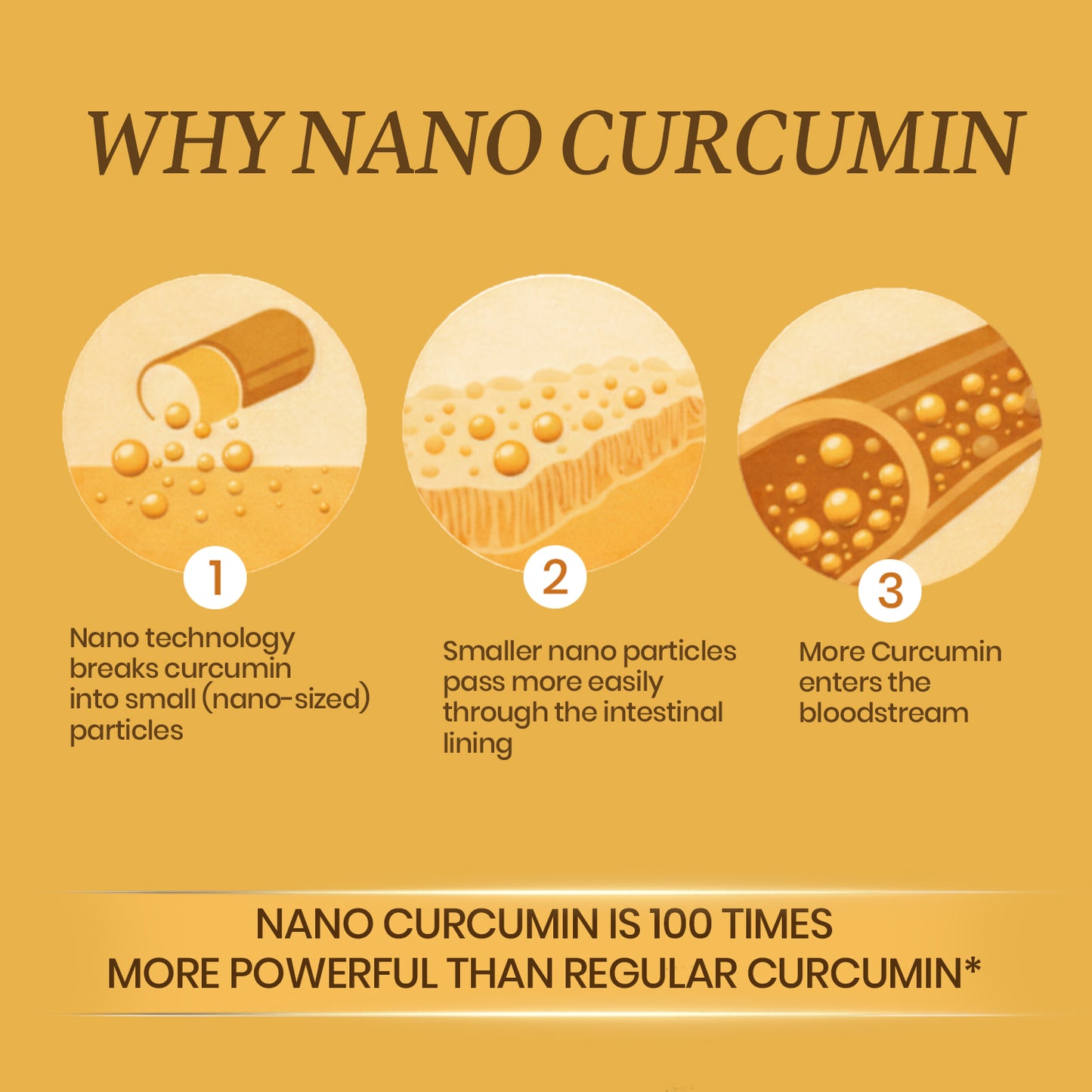 Vlado's Himalayan Organics Curcumin 1600mg+ | Extra-Pure Nano Curcumin Capsules with 95% Curcuminoids | Turmeric & Piperine | Joint Support Supplement for Men & Women - 60 Capsules