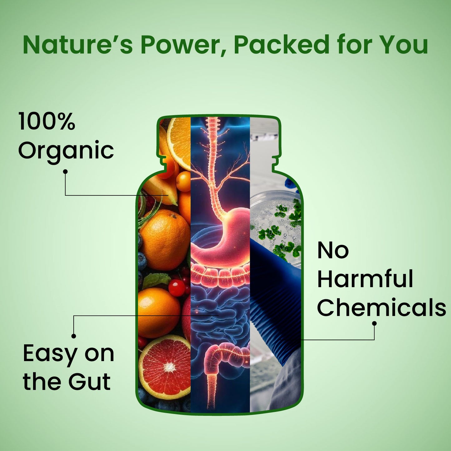 Vlado's Himalayan Organics  - Organic Multivitamins with Iron ,Zinc ,Vitamin B3, C ,Organic Ashwagandha , Tribulus  & Turmeric - 100% Organic , Non-Synthetic - for Immunity, Engergy stamina , Hair, Skin & Bones - 60 Veg Tablets