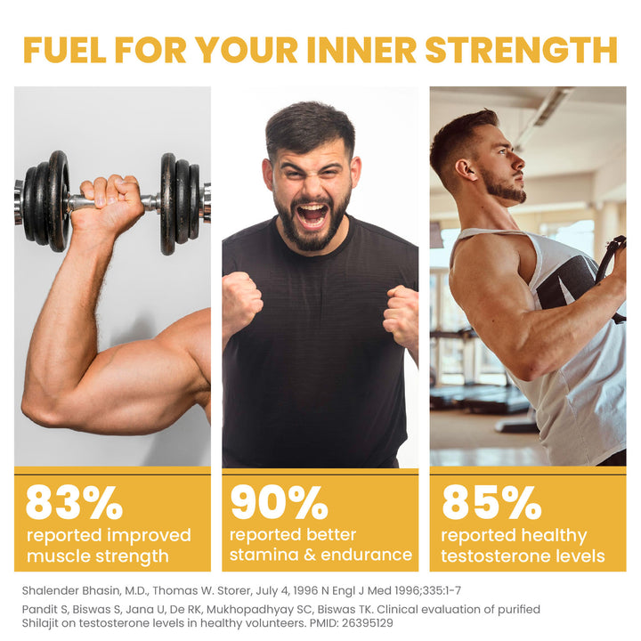 Vlado's Himalayan Organics Testosterone Booster for Men – 2800mg | With Ashwagandha, Shilajit, Kaunch Beej, Musli, Gokshura, Ginseng, Gold Bhasma & 17+ Ayurvedic Herbs | Boost Strength, Stamina, Energy & Muscle Growth - 90 Veg Tablets