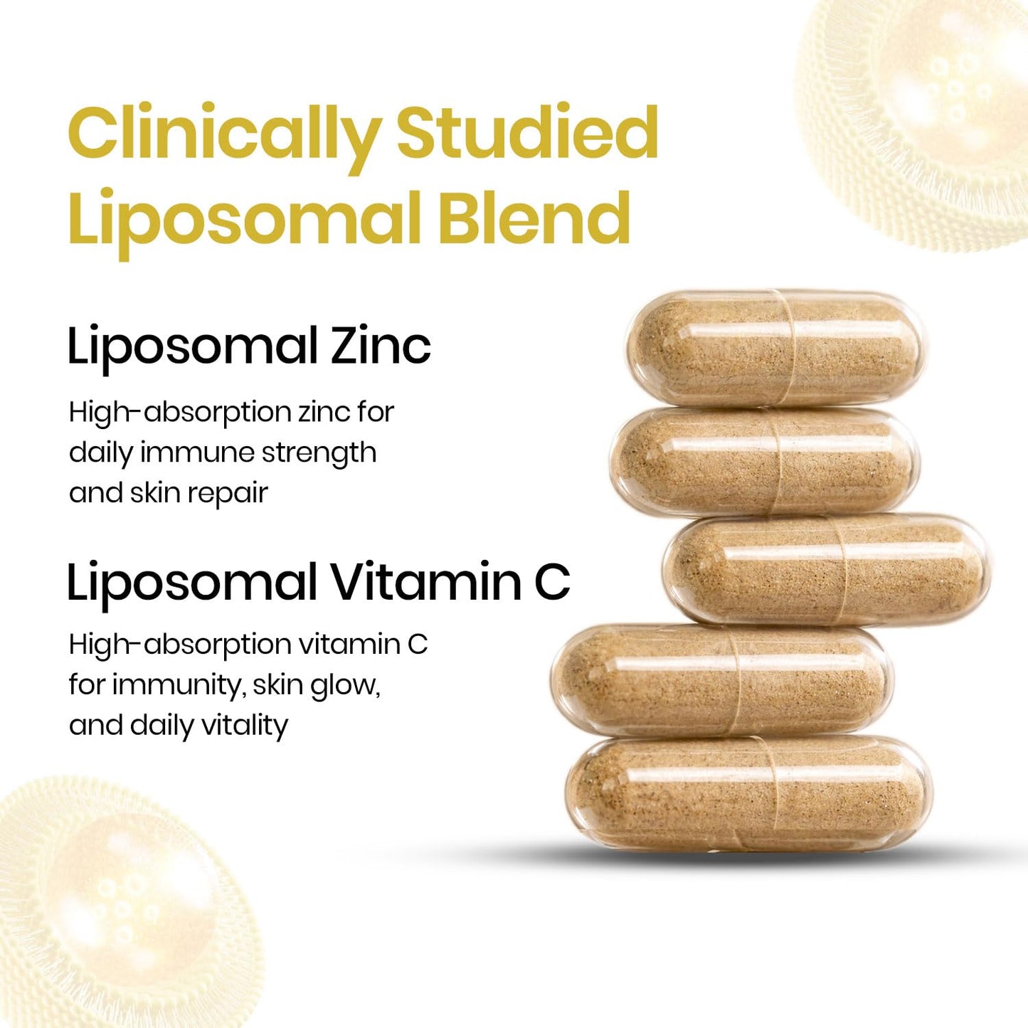 Vlado's Himalayan Organics Liposomal Zinc With Vitamin C Supplement | Digestive Health | Improve Iron Absorption | Double Antioxidant & Immune Support -120 Veg Capsules