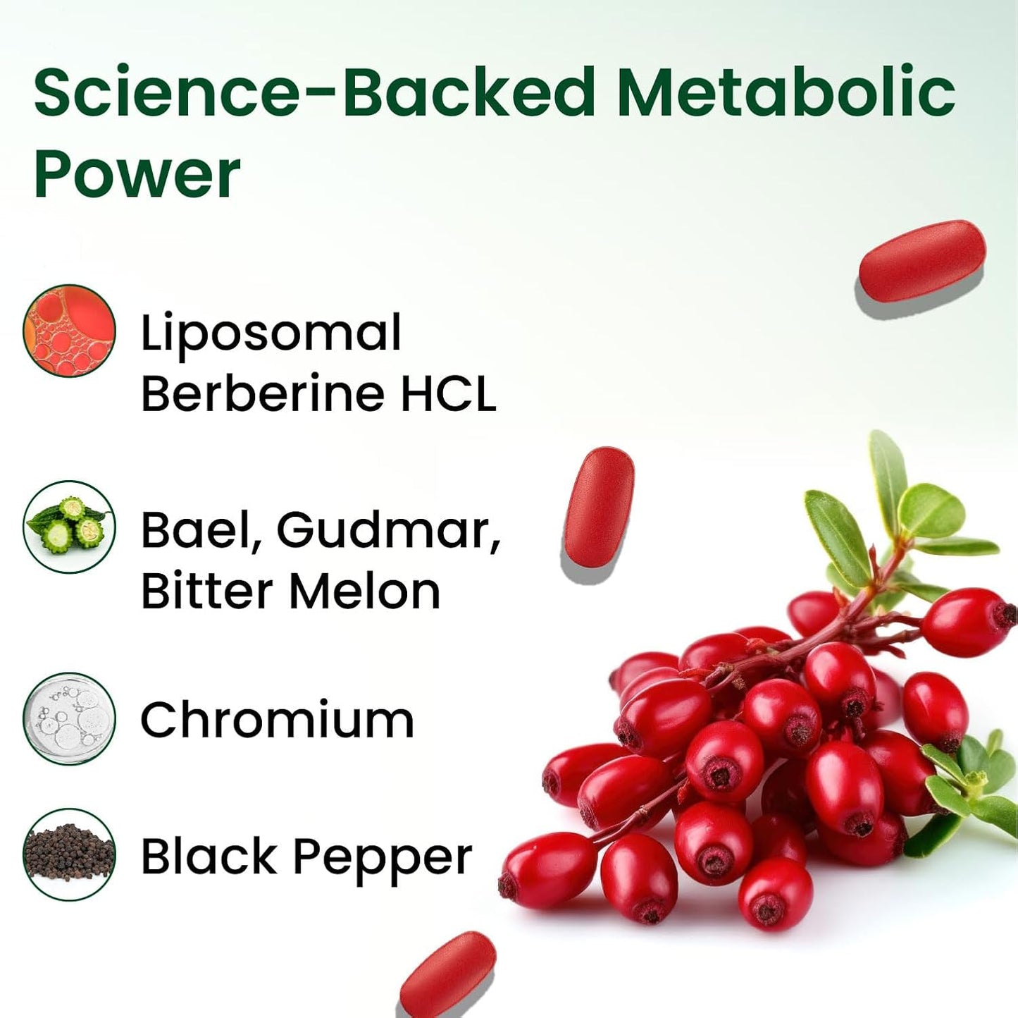 Vlado's Himalayan Organics Liposomal Berberine HCL+ 1500mg+ with Piperine, Chromium , Bitter Melon, Bael, Gudmar & Vitamin B12 |For Metabolism, Hormonal Balance, Healthy Blood Sugar & Cholesterol Levels | 60 Veg Tablets