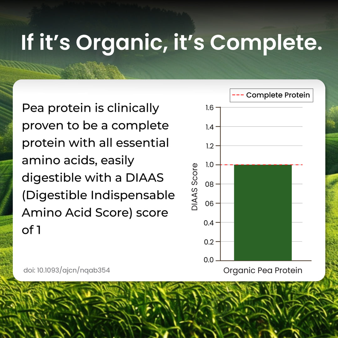 Vlado's Himalayan Organics Organic Protein ( Made with Pea ) - 500G