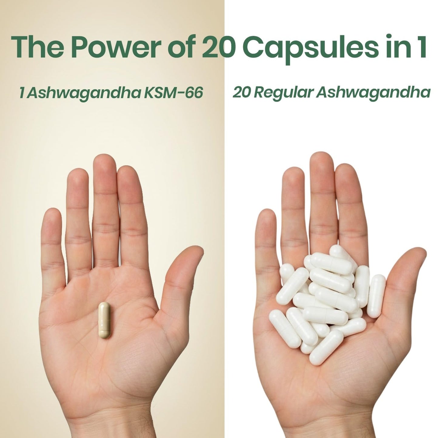 Vlado’s Himalayan Organics KSM66 Ashwagandha 700 Mg I 5% Withania Somnifera I Pure Ashwagandha Men & Women (60 Capsules)