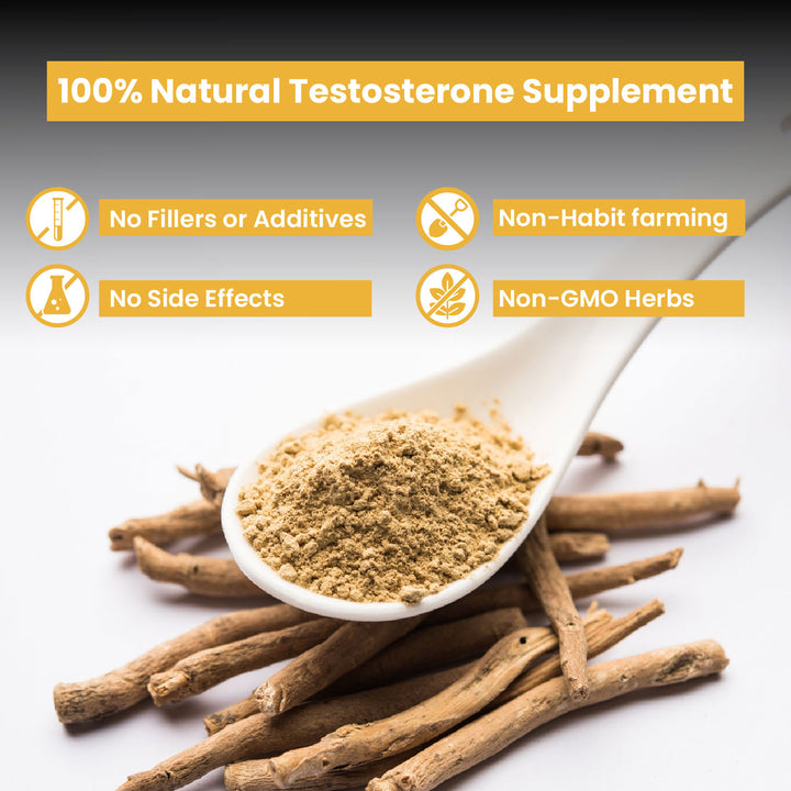 Vlado's Himalayan Organics Testosterone Booster for Men – 2800mg | With Ashwagandha, Shilajit, Kaunch Beej, Musli, Gokshura, Ginseng, Gold Bhasma & 17+ Ayurvedic Herbs | Boost Strength, Stamina, Energy & Muscle Growth - 90 Veg Tablets