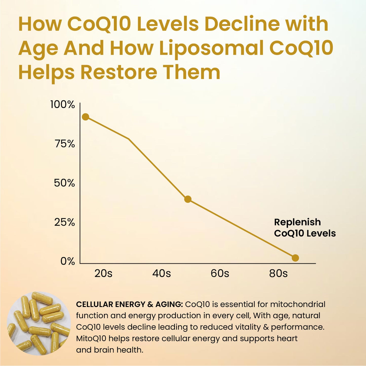 Vlado's Himalayan Organics Liposomal Coenzyme Q10 | CoQ10 Supplement 300mg+ with Magnesium, Vitamin B9 & B12, D-Chiro-Inositol, ,Garlic, Arjuna, Methyl, Folate | High Absorption I Coq10 Ubiqinol Supports Heart Health and Vascular Health  – 30 Capsules