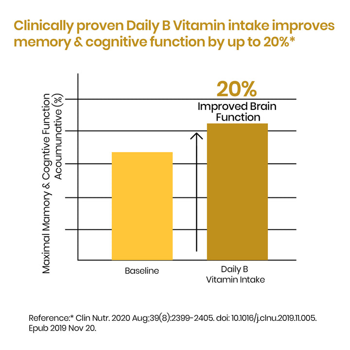 Vlado’s Himalayan Organics Liposomal Vitamin B Complex with 100% RDA B1, B2, B3, B5, B6, B9 & B12 | Hair Growth, Boost Energy And Immunity (60 Capsules)