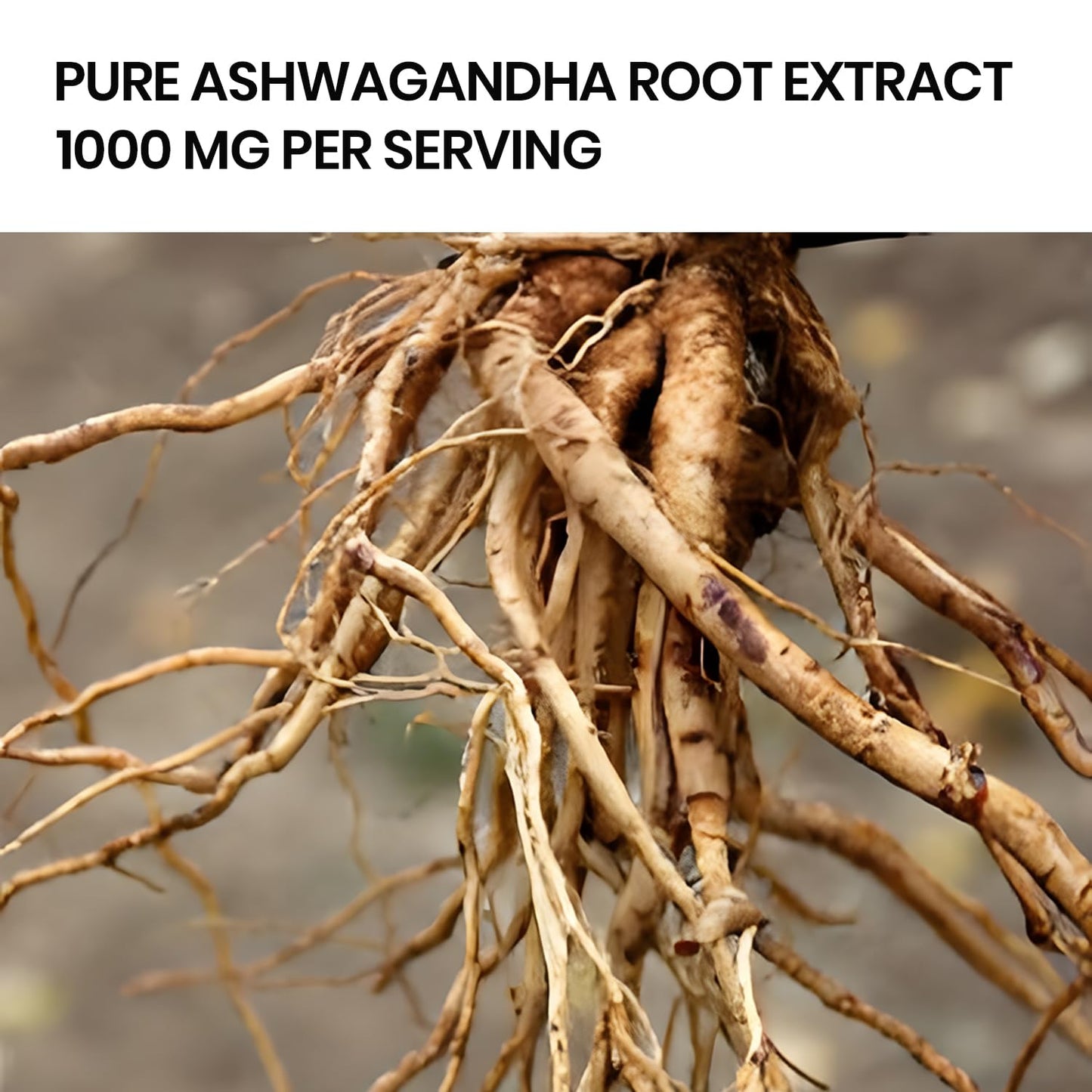 Vlado's Himalayan Organics Liposomal Ashwagandha 1000mg/Serve || Energy & Endurance || 60 Veg Capsules