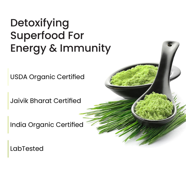 Vlado's Himalayan Organics Natural Organic Wheatgrass Powder | USDA Certified I Wheat Grass Powder | Organic Wheatgrass Juice | Ayurvedic Support For Natural Detox | Immunity Booster | Herbal Supplement - 100g