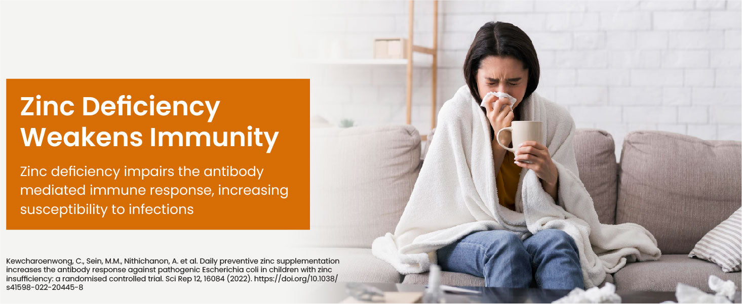 Zinc Deficiency Weakens Immunity