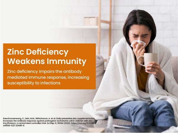 Zinc Deficiency Weakens Immunity