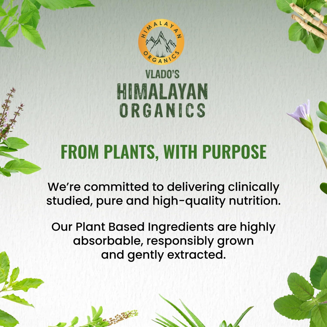 Vlado's Himalayan Organics Ginkgo Biloba for Healthy Brain Functions - 60 Capsules