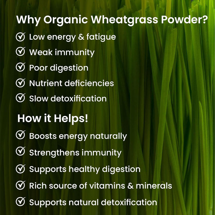 Vlado's Himalayan Organics Natural Organic Wheatgrass Powder | USDA Certified I Wheat Grass Powder | Organic Wheatgrass Juice | Ayurvedic Support For Natural Detox | Immunity Booster | Herbal Supplement - 100g