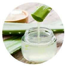 Aloe Vera Extract