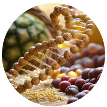 Medium Chain Triglycerides (MCT)