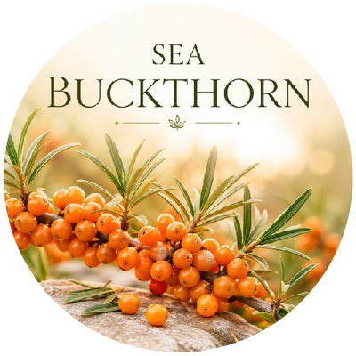 Sea Buckthorn