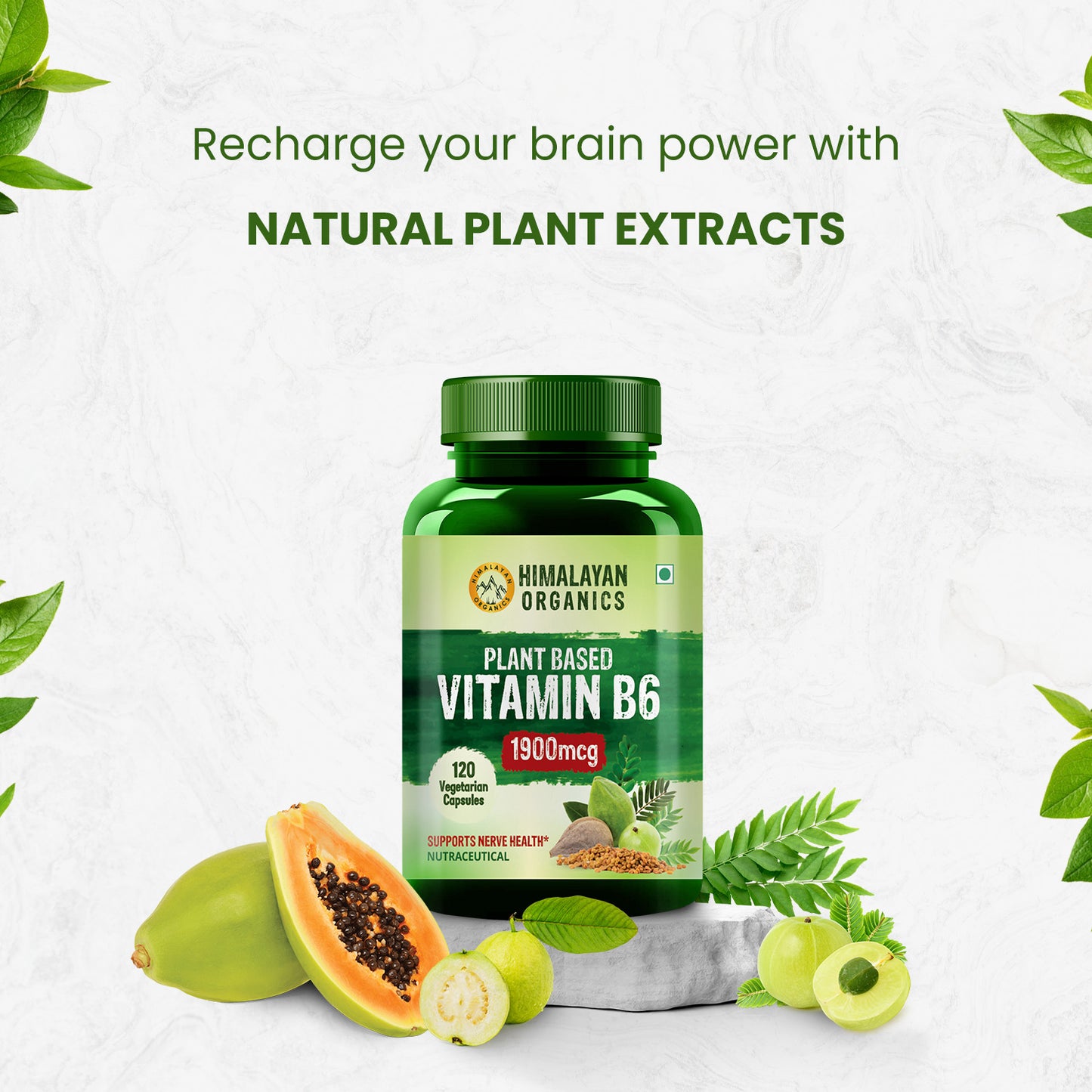 Himalayan Organics Plant-Based Vitamin B6 | Supports Immunity, Brain Health (120 Capsules)
